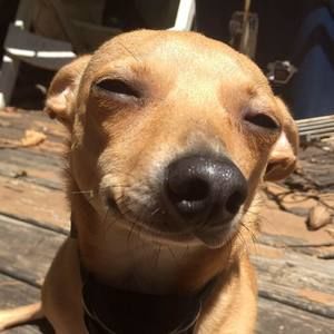 Meet your Posher, Rayla